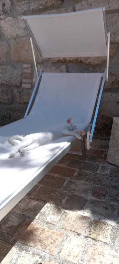 Azienda Agrituristica La Torretta Tocco da Casauria Kültér fotó