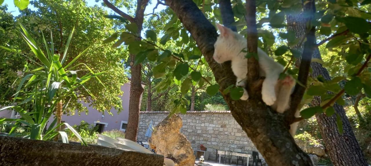 Azienda Agrituristica La Torretta Tocco da Casauria Kültér fotó