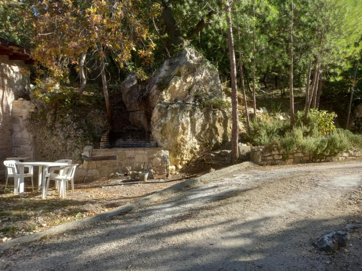 Azienda Agrituristica La Torretta Tocco da Casauria Kültér fotó