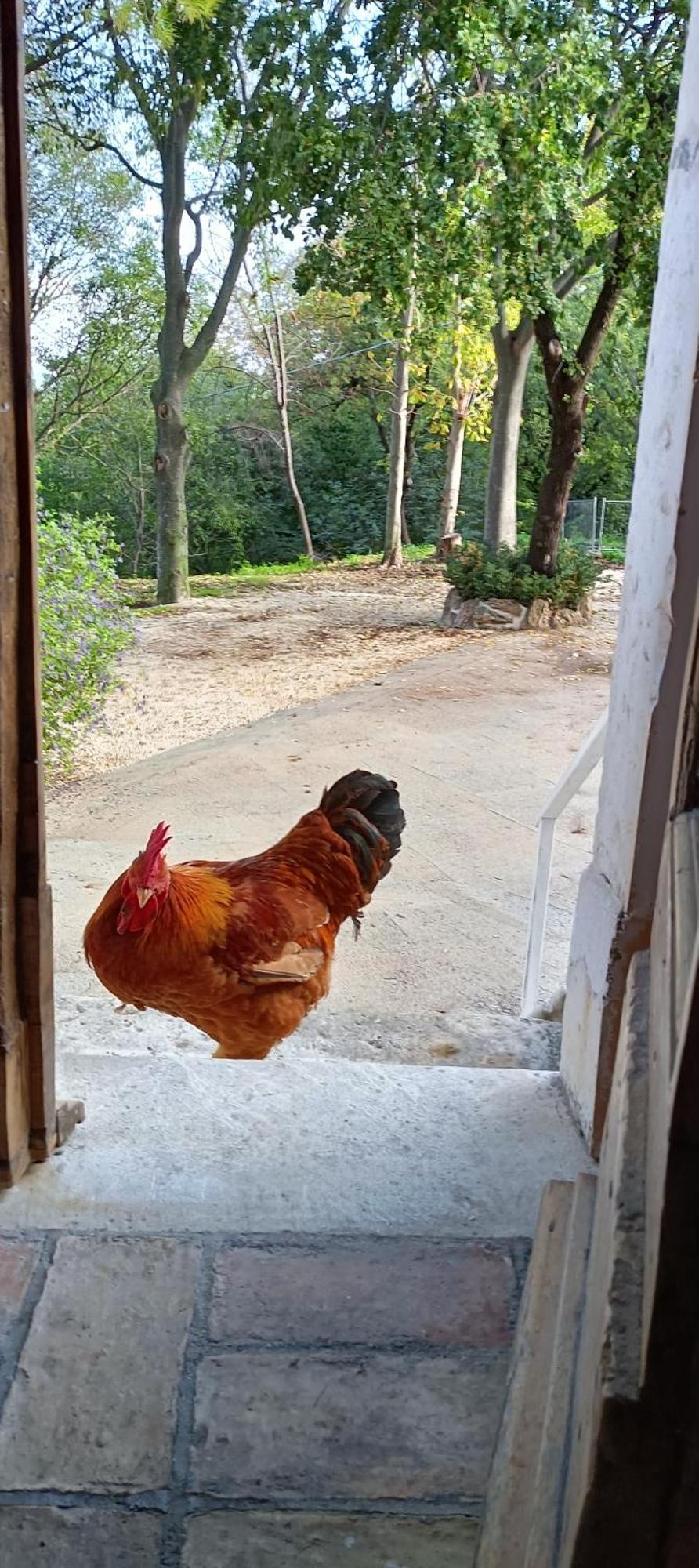 Azienda Agrituristica La Torretta Tocco da Casauria Kültér fotó